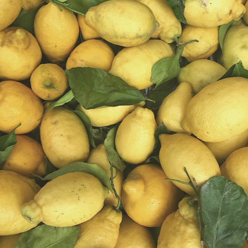 LIMONI DI MONTEROSSO - CINQUE TERRE - LA SPEZIA