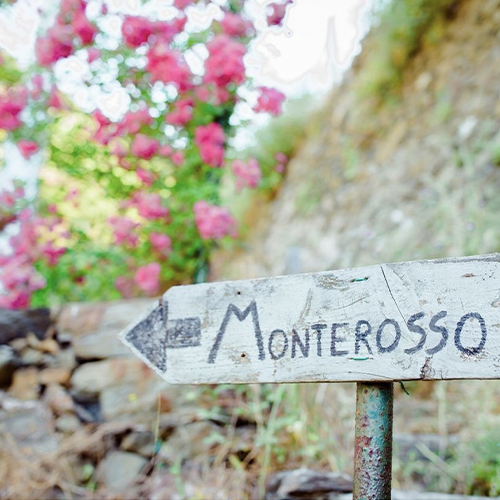 MONTEROSSO - CINQUE TERRE - SENTIERI