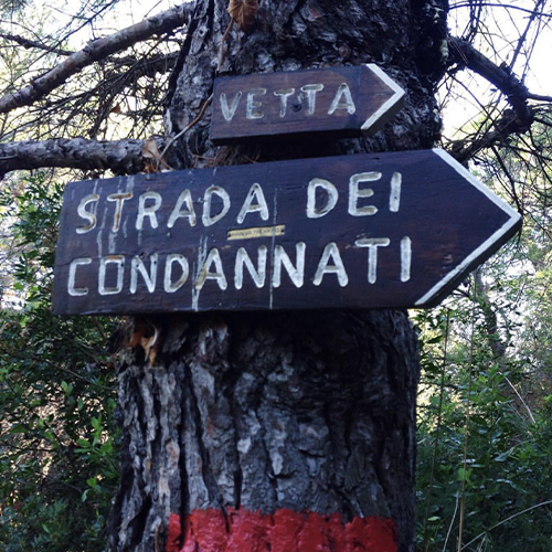 SENTIERI - ISOLA PALMARIA - LA SPEZIA